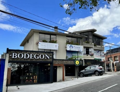 Proyecto Bodegón el Bosque 2022